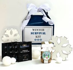 Sensational Winter Day Survival Kit/Care Package ($25)